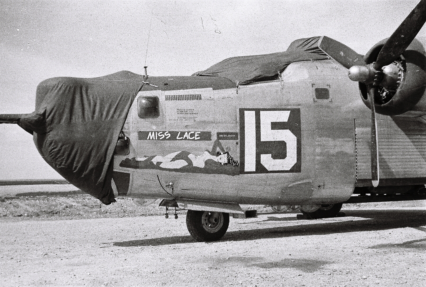 764th Nose art